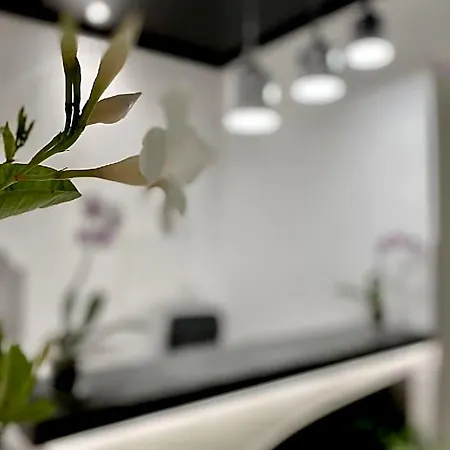 Residenza Degli Dei Bed & Breakfast Parghelia